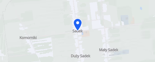 Ogólnopolski Bieg Uliczny Sadek - Sadek