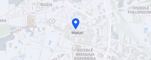 Trzeźwościowy Cross Maraton Wieluń