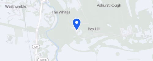 RunThrough Trails Beat Box Hill October