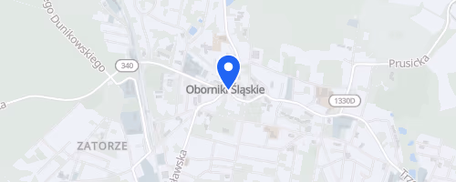 Bieg Oborygena