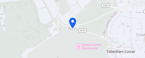 Epsom Oddballs 2000 Perch