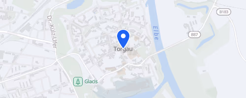 Torgauer Citynachtlauf