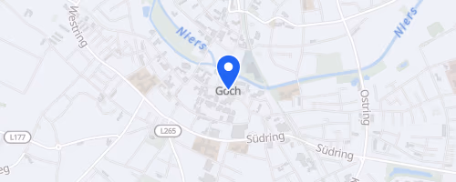30. Gocher Steintorlauf