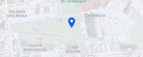 Pędzące Renifery