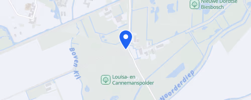 Zoomer Wantijrun Dordrecht