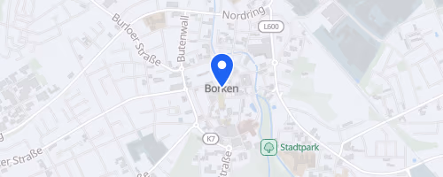 40. Borkener Citylauf