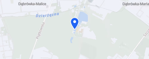 Bieg Terenowy Zgierz Malinka