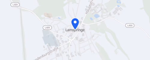 Lamspringer Klosterlauf