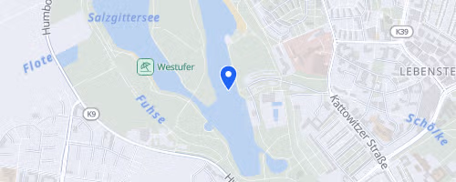 Stiftungslauf Salzgitter