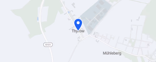 Thyrower Waldlauf