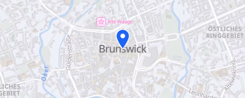 40. Braunschweiger Nachtlauf