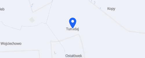 Leśny Bieg Gminy Brzeźnio