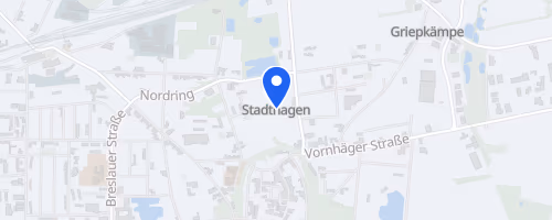 Winterlauf Serie Stadthagen, 4. Lauf