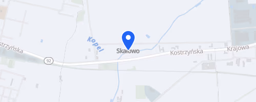Dziki Bieg W Lesie w Skałowie