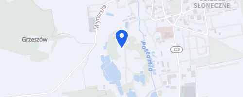 XXVI Memorial Stanislawa Ozoga X Mistrzostwa Sulecina w Biegu na 10 Km