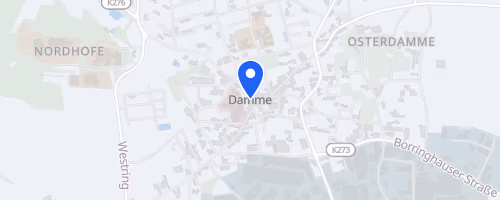 24. Dammer Stadtlauf