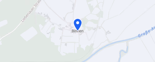 27. Binner Abendlauf