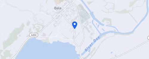 The Big Bala Swim