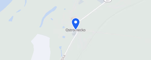 Bieg Uliczny Dąbrowa Chełmińska - Ostromecko