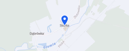 Bieg Przeszkodowy Skórkowaniec
