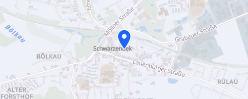 SachsenwaldLauf