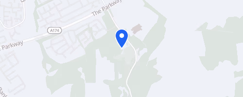 Pine Forest 5K Trail