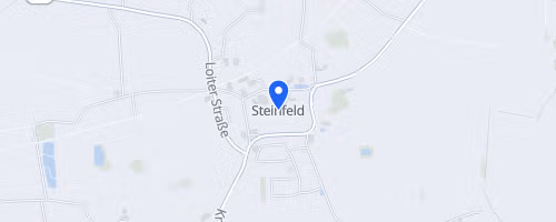 Silvesterlauf Steinfeld/Mühlen