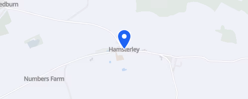Hamsterley Forest Trail Run