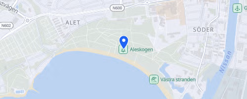 Vårruset