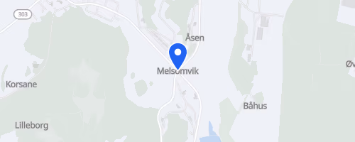 Moaløpet