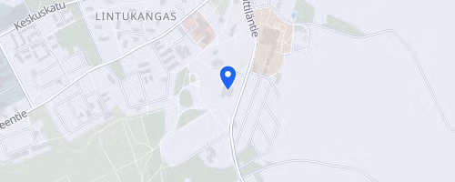 Maantiekisat