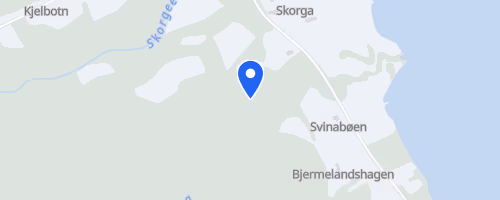 Svartløken rundt