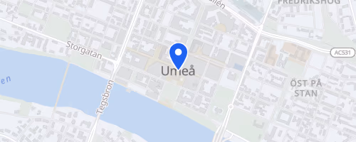 Umeå Triathlon