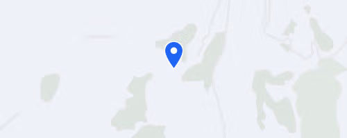 Orienteering Challenge 2 – Kerr Rd Forest