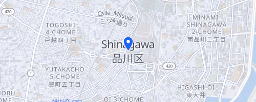 第10回大井東京夏マラソン