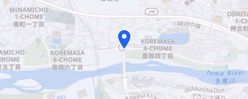 第47回スポーツメイトラン府中多摩川風の道マラソン【計測チップ有り】