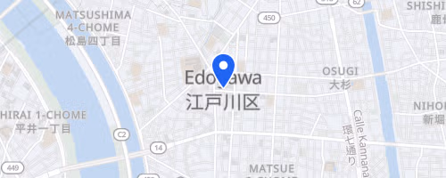 第33回葛西臨海公園ナイトハーフマラソン（6月開催）