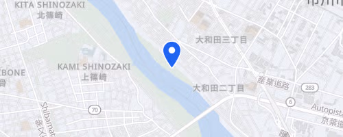 第89回 UPRUN市川江戸川ハーフマラソン