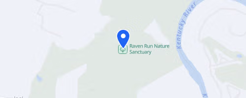 The Raven 10K