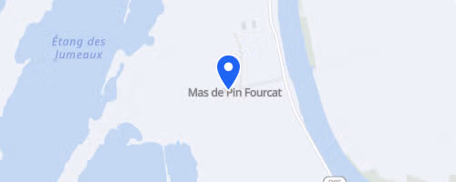 Course nature sauvage - Saintes-Maries-de-la-Mer