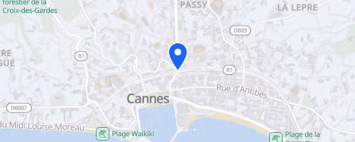 Gentlemen de Cannes