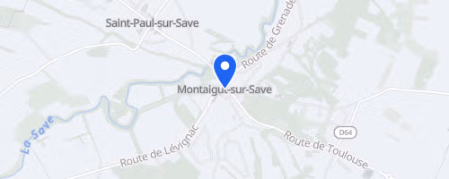 Forest Night - Montaigut Sur Save