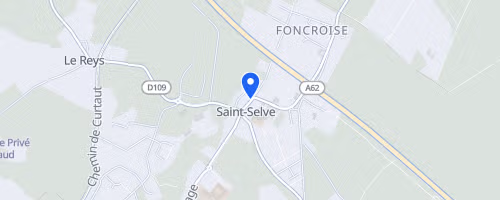 Foulées saint-selvaises - Saint-Selve