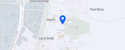 Les foulées de vince - Feyzin