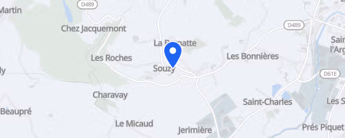 Les Foulées Maniennes