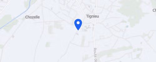 Course Natures De La Locomotive - Tignieu Jameyzieu