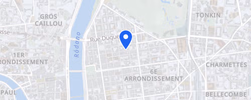 Run in Lyon - Semi-Marathon 2026