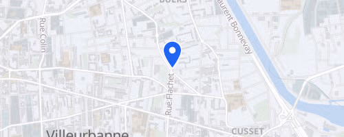 Foulées de Villeurbanne