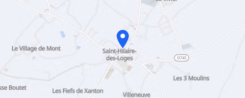 Les Foulées de Saint Hilaire des Loges