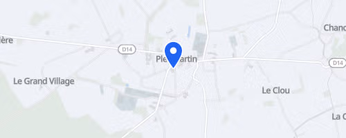 Les foulées pleumartinoises